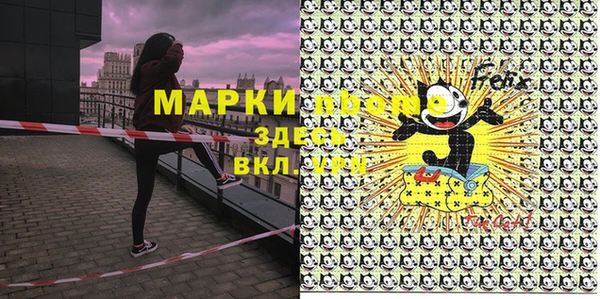 индика Лихославль