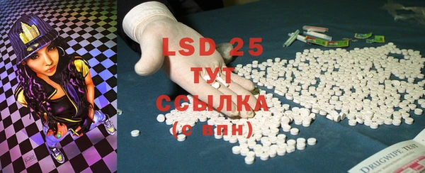 индика Лихославль