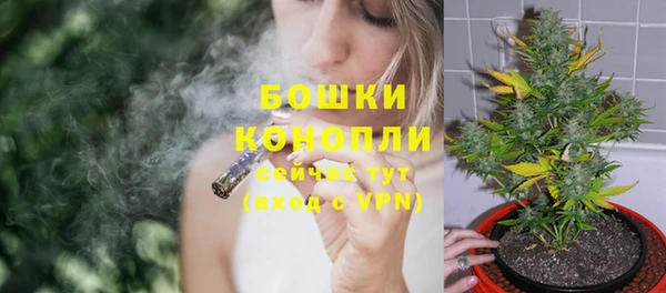 индика Лихославль