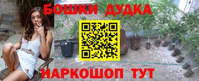 сатива Камышлов