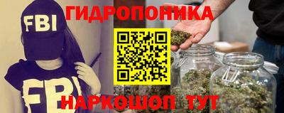 сатива Камышлов