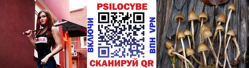 Псилоцибиновые грибы ЛСД  хочу наркоту  Черняховск 